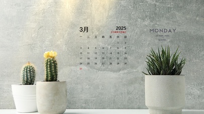 简约绿植小清新桌面