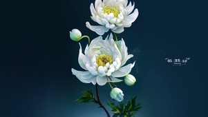 治愈花开