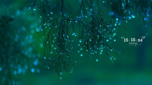 雨季护眼绿叶