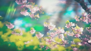 芬芳俏