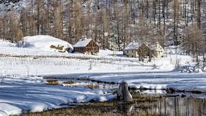 冬天树林下的小木屋