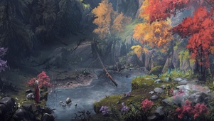 雨中森林