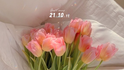 我会等枯树生芽开出新的花