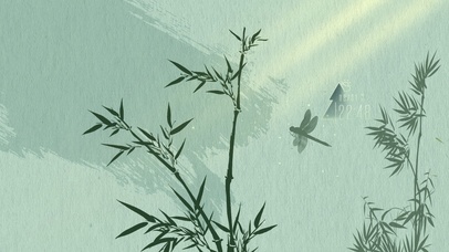 4K 清新护眼简约竹子