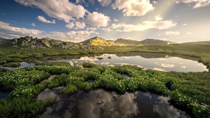草原湿地