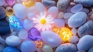 水波石中花