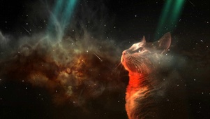 科幻猫咪