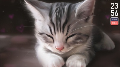 超可爱的小猫咪