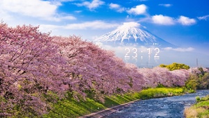 蓝天白云樱花河流