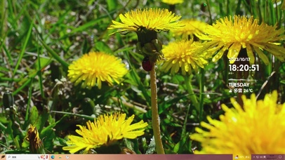 花蕊的凋谢主题
