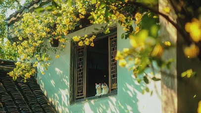 午后时光AI插画