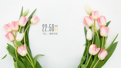 极简高级郁金香桌面