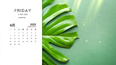 4k简约绿植桌面