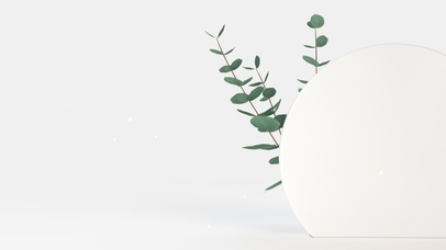 4k极简纯色绿植桌面