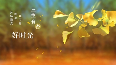 不负好时光 简约唯美治愈银杏