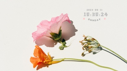 清新绿植花桌面