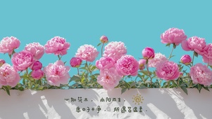 所遇皆温柔