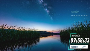 星夜湖边芦苇