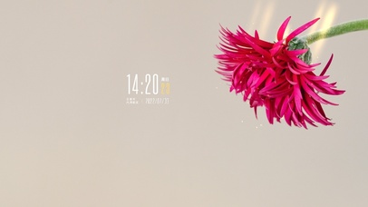 4k高清简约小清新系列