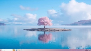 樱花小岛
