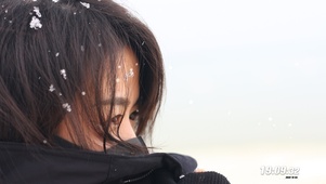 雪中的凝望