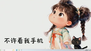 不许看我手机桌面主题