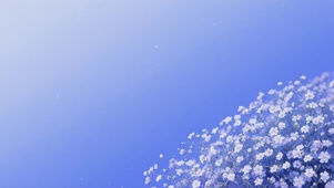 碎落晴空的星星