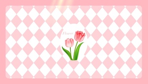 粉色郁金香