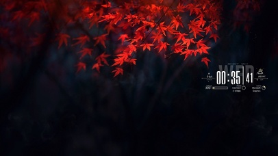 4K清冷深秋红叶