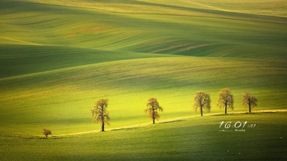 唯美绿色草地风景