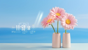 清新阳光雏菊