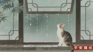 小猫古风桌面
