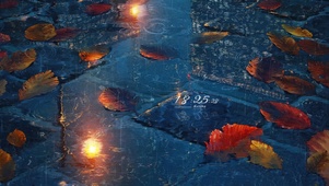 夏夜雨的倒影