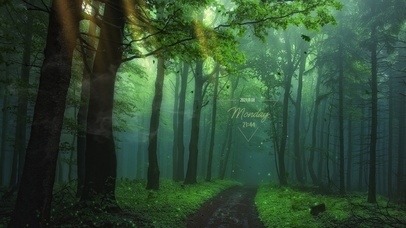 迷雾森林中的小路