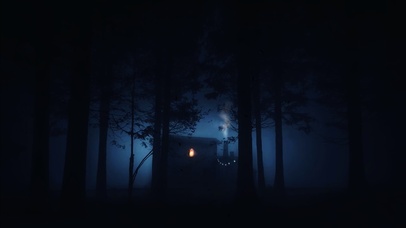 夜晚的森林深处