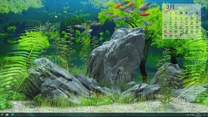 护眼水草水族箱日历主题