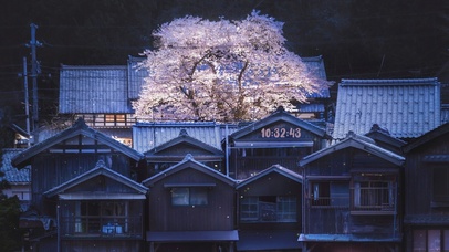 4K唯美治愈日系夜晚小镇樱花