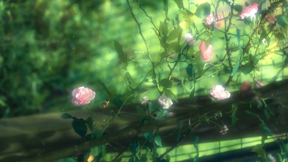 唯美治愈清新绿叶花朵