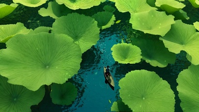 护眼解压夏日荷塘