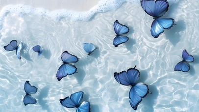 蝴蝶（非主题）