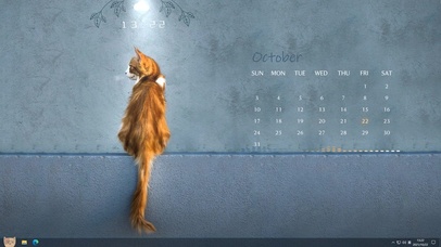 墙上猫（主题）