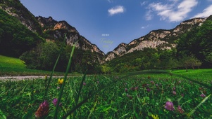 唯美清新治愈蓝天白云草地