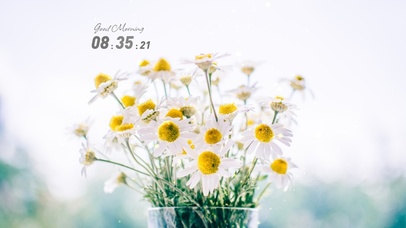 4k高清小清新系列