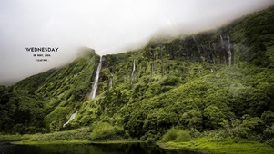 护眼治愈山林