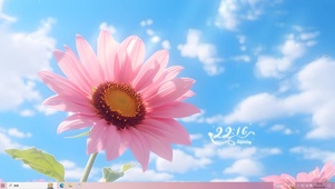 蓝天下的花朵