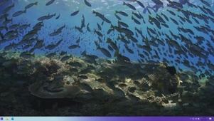 海底鱼群与潜水员