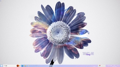 一朵雏菊主题壁纸