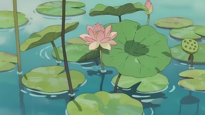 治愈系护眼荷塘