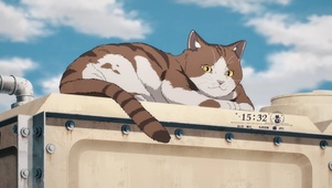 可爱猫咪
