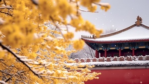 深宫初雪